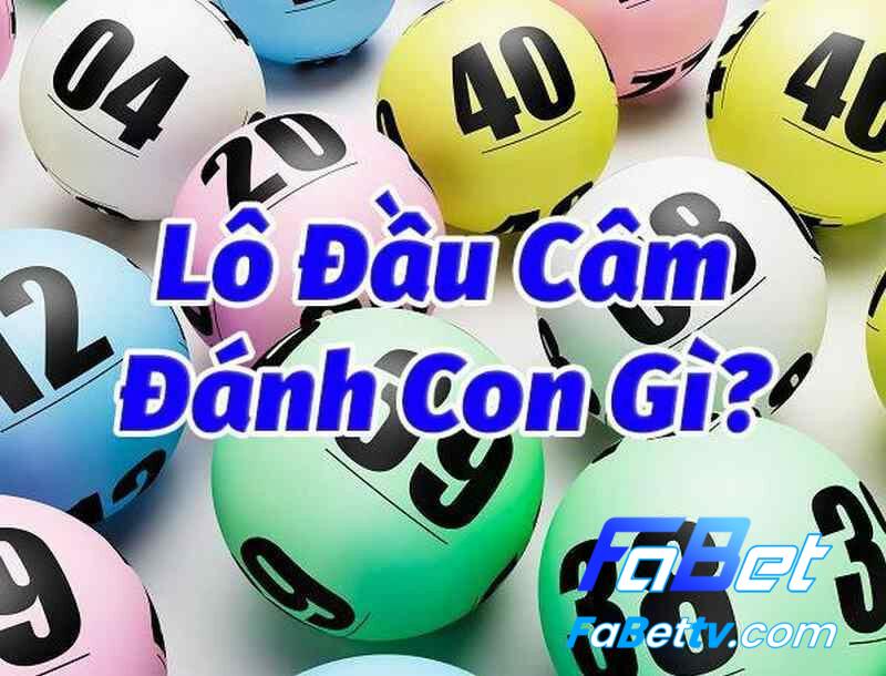 Cách nuôi lô đầu 3 câm khung 5 ngày chuẩn nhất