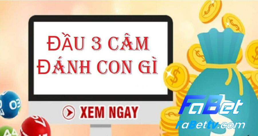 Lô đầu 3 câm là gì?