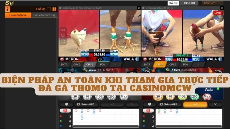 Biện Pháp An Toàn Khi Tham Gia Trực Tiếp Đá Gà Thomo Tại Casinomcw