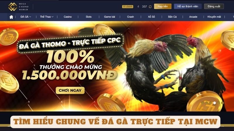 Tìm hiểu chung về đá gà trực tiếp tại mcw