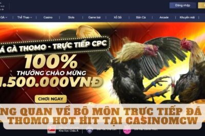 Trực Tiếp Đá Gà Thomo Tại Casinomcw Siêu Kịch Tính 