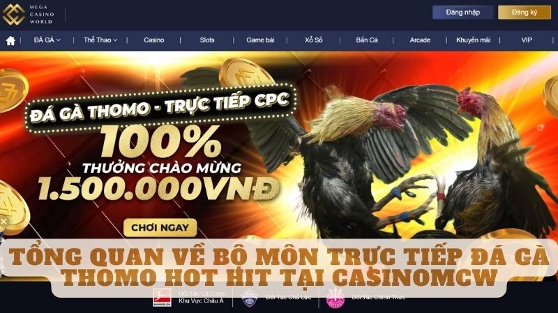 Tổng Quan Về Bộ Môn Trực Tiếp Đá Gà Thomo Hot Hit Tại Casinomcw