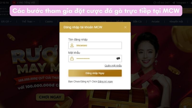 Các bước tham gia đặt cược đá gà trực tiếp tại MCW