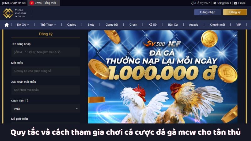 Quy tắc và cách tham gia chơi cá cược đá gà mcw cho tân thủ