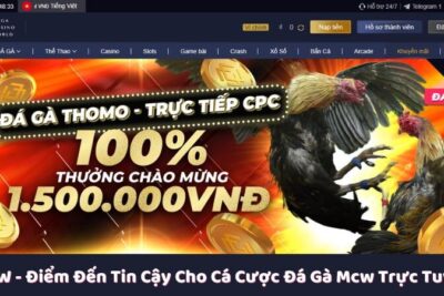 MCW – Điểm Đến Tin Cậy Cho Cá Cược Đá Gà Mcw Trực Tuyến