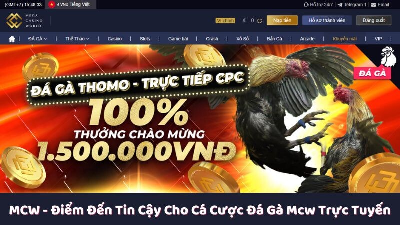 Lý do khiến cho MCW là một điểm đến tin cậy cho cá cực đá gà mcw trực tuyến