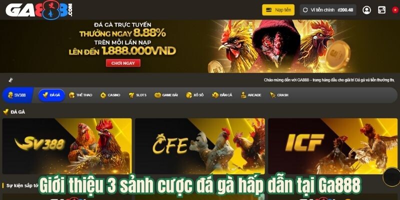 Giới thiệu 3 sảnh cược đá gà hấp dẫn tại Ga888